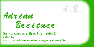 adrian breitner business card
