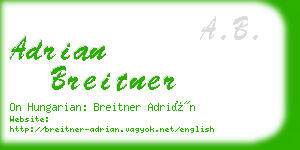 adrian breitner business card